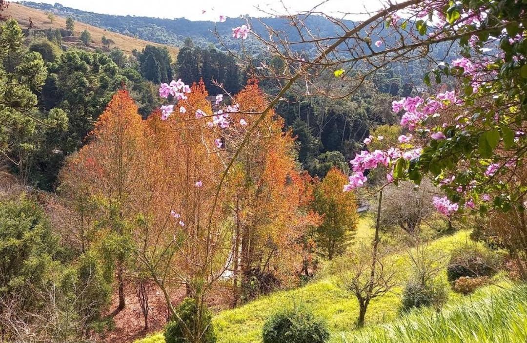 Colonia Saa Hotel Campos do Jordao Exterior photo